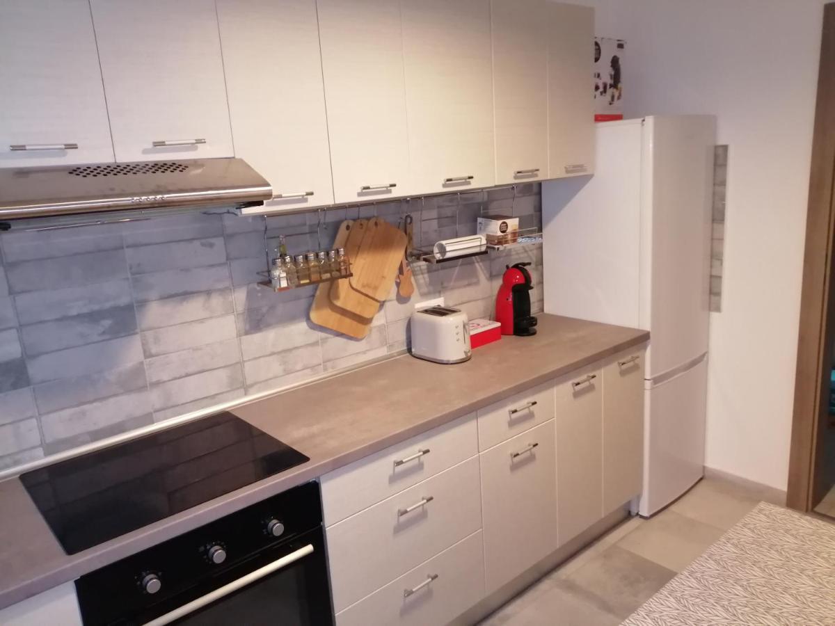 Maurer Loft Apartamento Târgu-Mureş Exterior foto
